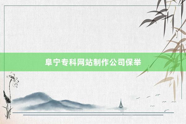 阜宁专科网站制作公司保举